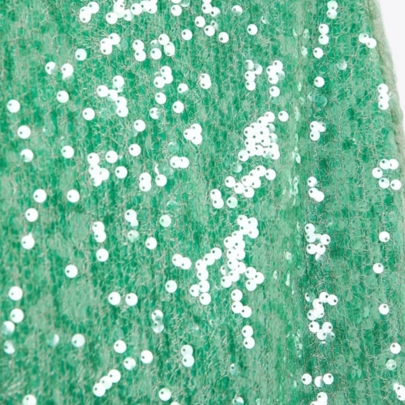 Zara Skirt - Picture 8 of 10